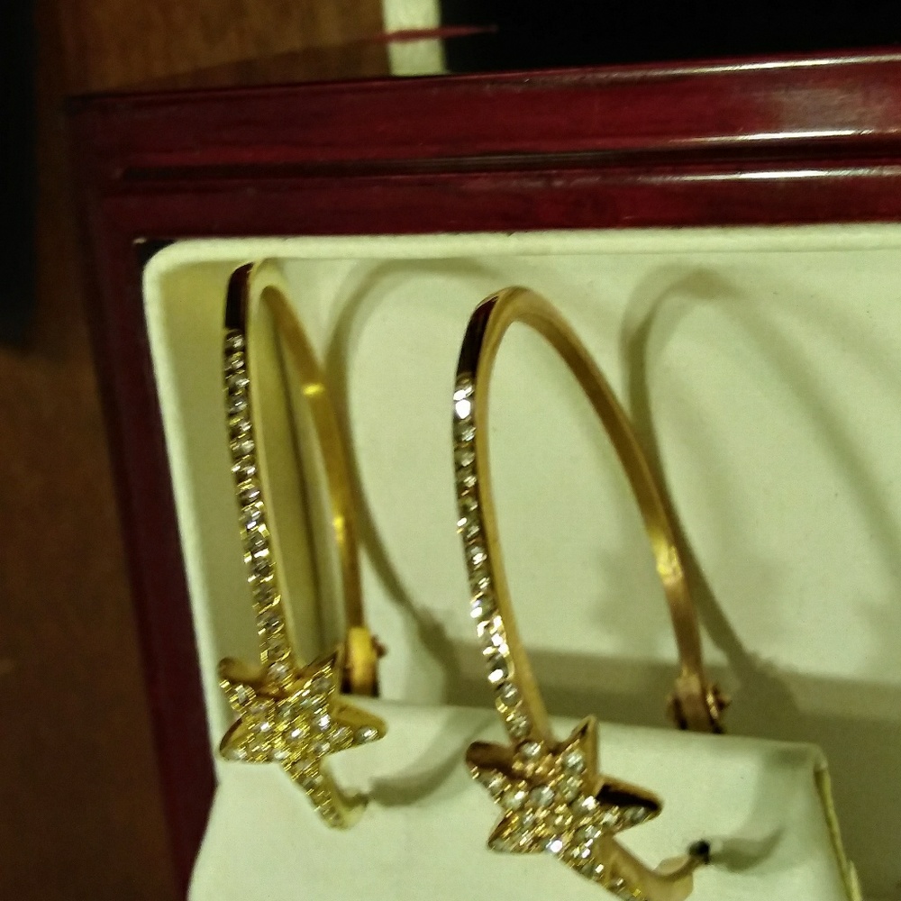 EARRINGS - Picture 4 of 6